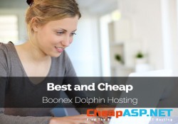 Best and Cheap Boonex Dolphin Hosting
