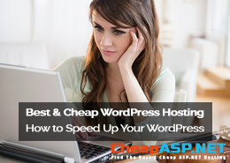 SEO Tips from CheapHostingASP.NET – How to Speed Up Your WordPress Hosting and Get a Higher Google Rank