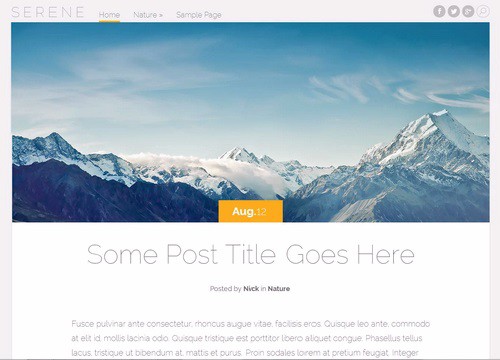 serene-wordpress-theme-500x360